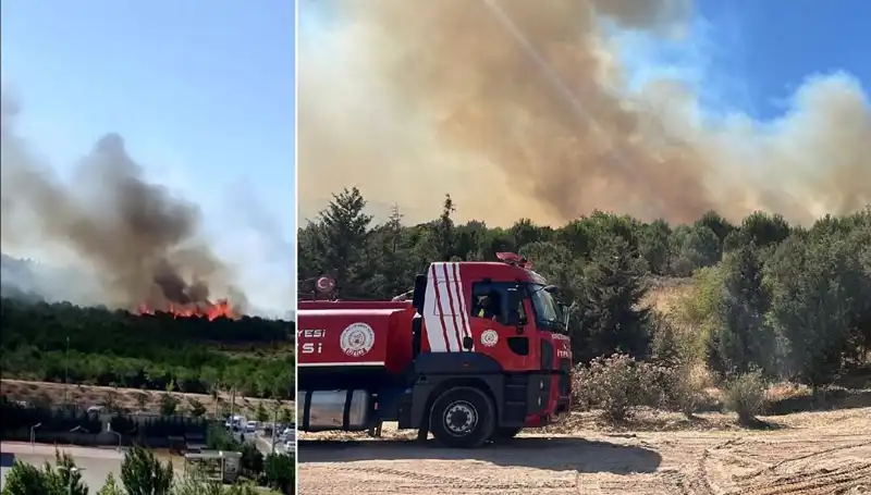Gebze'de Kontrol Altına Alınan Orman Yangını: Son Gelişmeler ve Önlemler