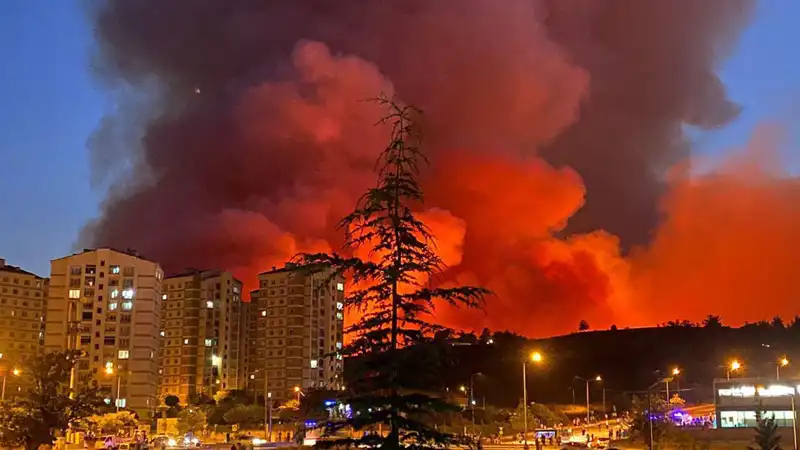 Bursa'da Yangın Alarmı: Şehir Yangınlarla Sarmalandı
