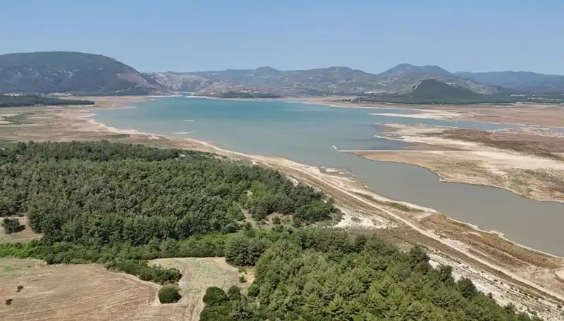 İzmir'de Tehlike Çanları: Geçen Yıla Göre Dikkat Çeken Düşüş Oranı!
