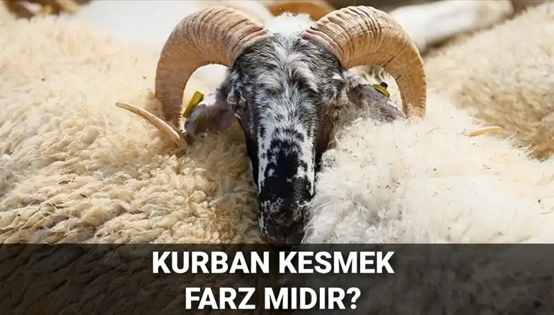 Kurban Kesimi Dinin Temel Taşlarından Mıdır? İşte Cevapları