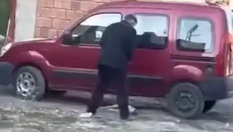 Sokak Ortasında Köpeğe Uygulanan Şiddet İhbarı: Toplum Tektik Olmalı