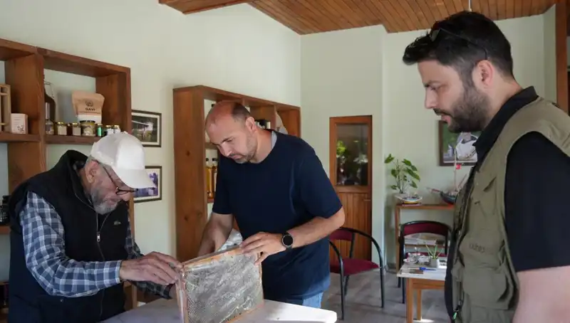 Hem Şifa Hem de Zehir: Bu Mucizevi Besini Doktorunuzla Tüketin!