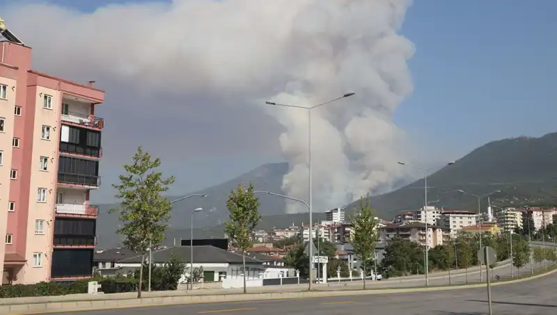 Denizli'deki Orman Yangını: Şüpheli Gözaltında, Yangının Sebepleri Araştırılıyor