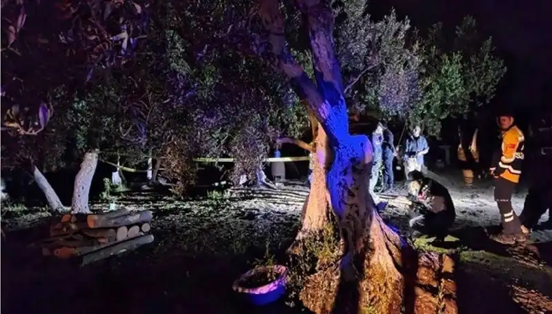 Çiftlikte Baltalı Vahşet: Bir Şüpheli Tutuklandı!