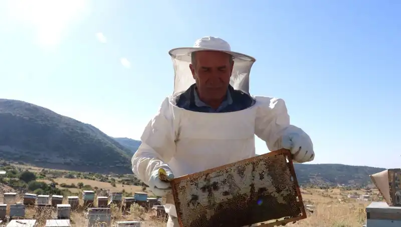 25 Yıl Sonra Döndü: Eski Mobilyacı, Bu Yıl 2 Ton Üretti!