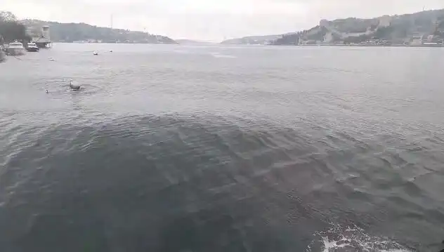 İstanbul Boğazı'nda Dalgalar Yükseldi: Olası Etkiler ve Önlemler