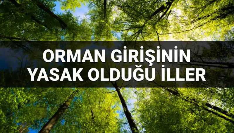 2025 Yılında Orman Girişine Yasaklanan İllerin Güncel Listesi