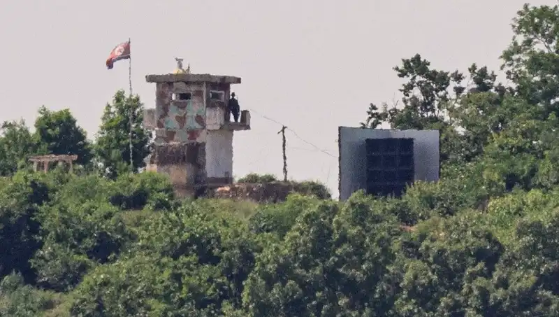 Kuzey Kore'den ABD’ye Yenilikçi Bir Adım: Tarihi Zeytin Dalı