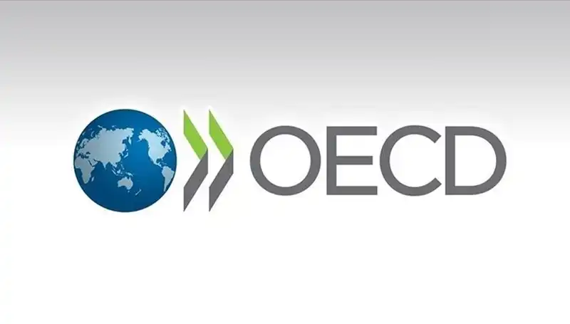 OECD'nin Yeni Raporu: Türkiye'nin Büyüme Tahminleri Dikkat Çekiyor!