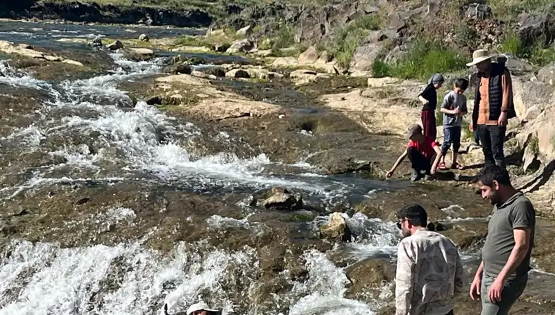 İnci Kefalinin Muhteşem Göçü: Doğa Severler İçin Eşsiz Bir Deneyim