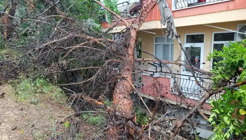 Şiddetli Yağışlar Sonrası Bina Çöktü: O Anlar Kameralara Yansıdı