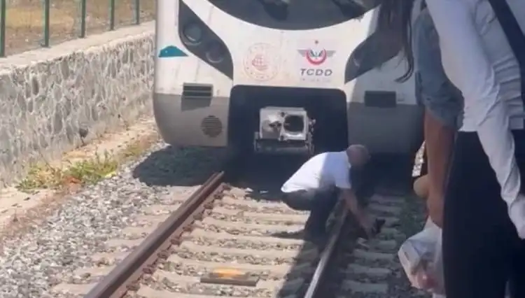 Raylardaki Kediyi Fark Eden Makinist, Marmaray’ı Durdurarak Hayatı Kurtardı