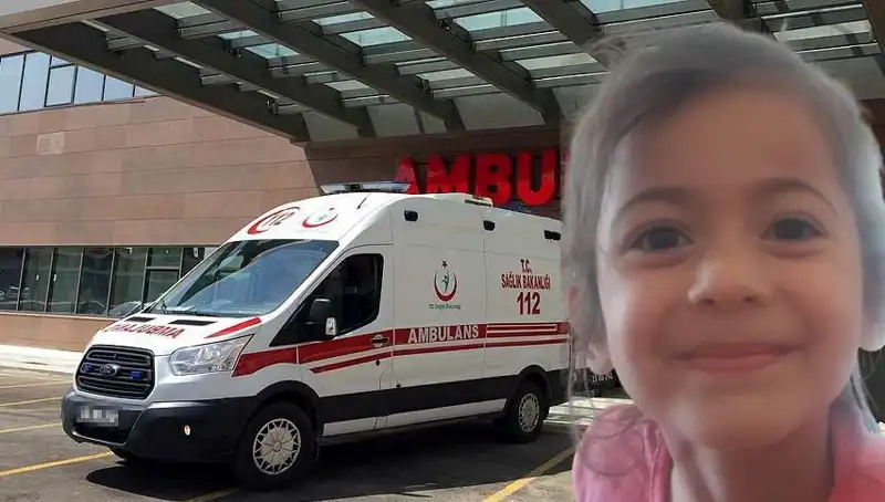 8 Yaşındaki Roza'nın Kaybı üzerine Düşünmeye Değer Bir Hikaye