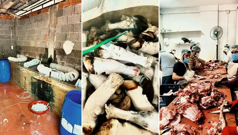 Adana'da Paça Skandalı: Yüzlerce Kilo Mide Bulandıran Görüntü!