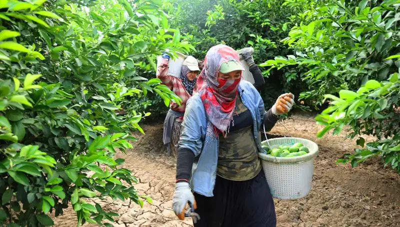Marketlerde Fiyatları Şaşırtan Artış: 150 Lira Barajı Aşıldı!
