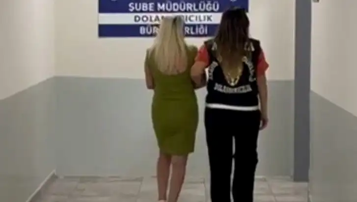 Antalya'da 8,5 Milyonluk Orman Vurgunu: Müsteşar Sürece Dair Şok Gelişmeler!